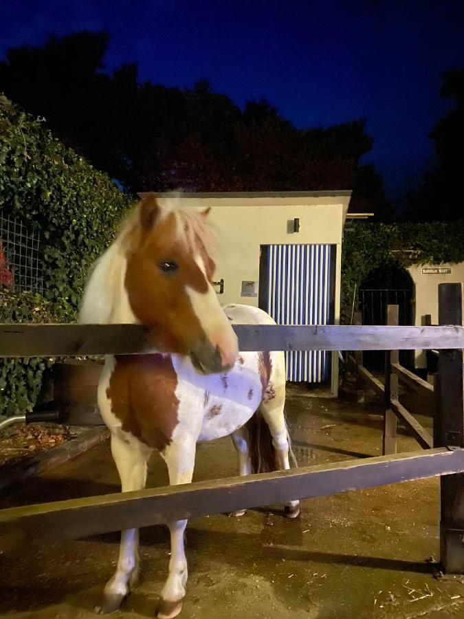 The Stable Annexe & Spa Dogdyke Buitenkant foto