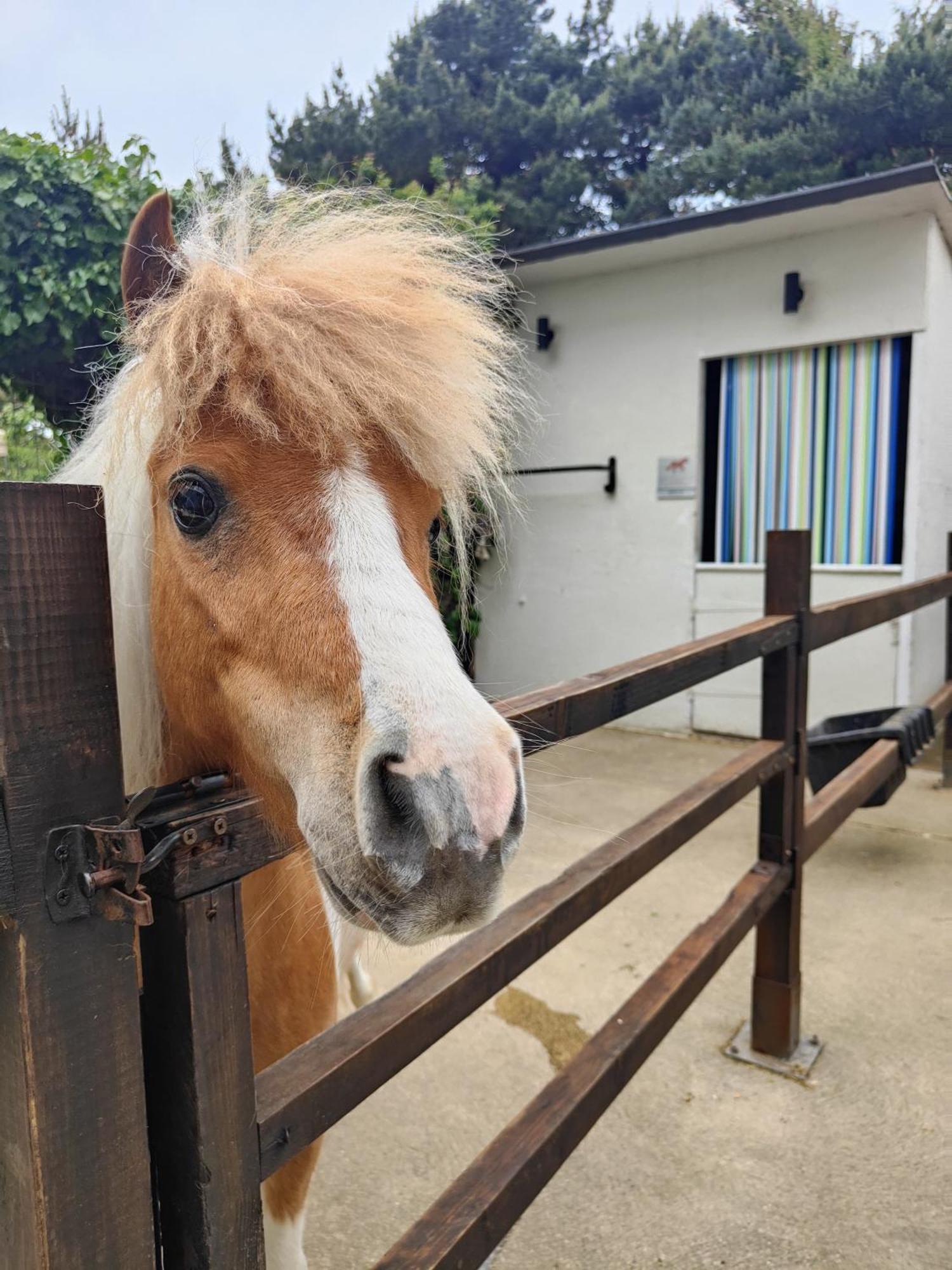 The Stable Annexe & Spa Dogdyke Buitenkant foto